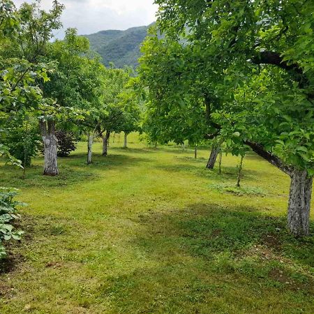 Aleksa Konuk evi Cetinje Dış mekan fotoğraf
