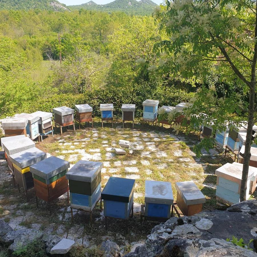 Aleksa Konuk evi Cetinje Dış mekan fotoğraf
