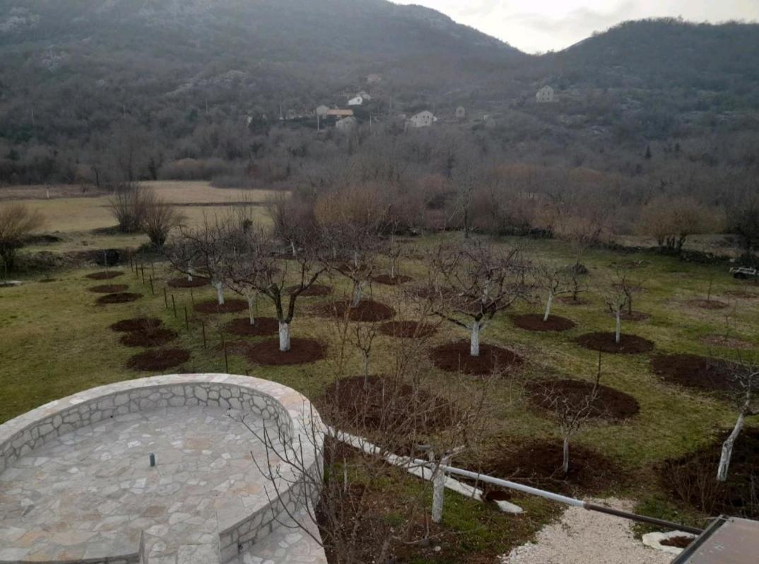 Aleksa Konuk evi Cetinje Dış mekan fotoğraf