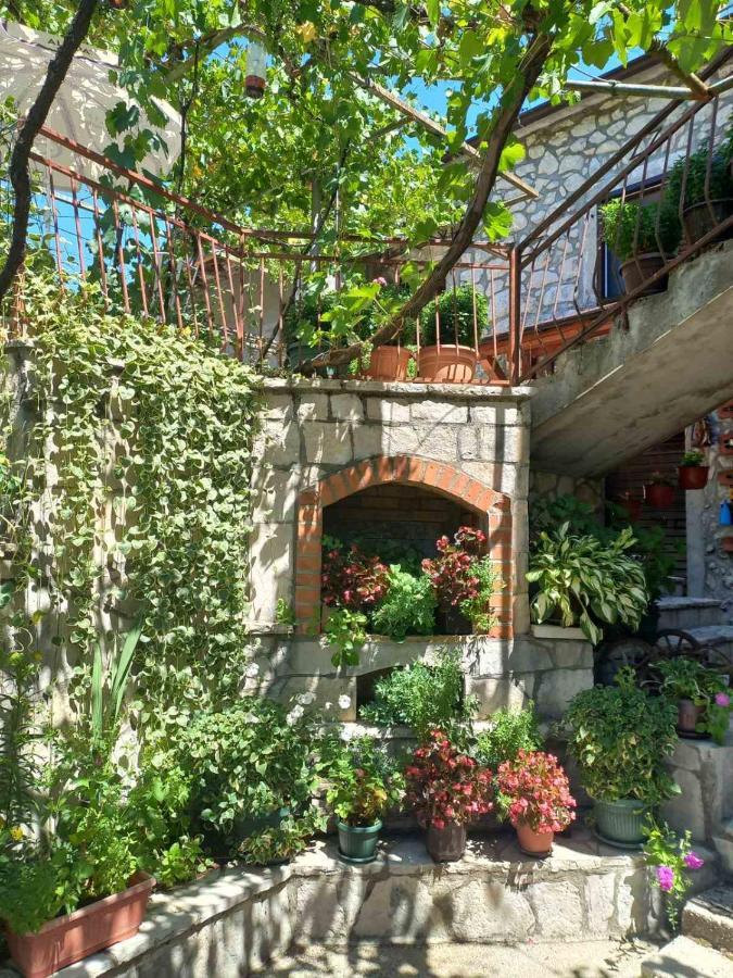 Aleksa Konuk evi Cetinje Dış mekan fotoğraf