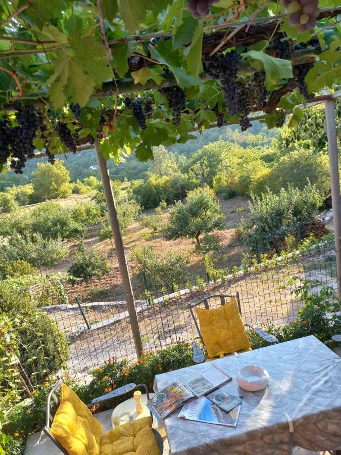Aleksa Konuk evi Cetinje Dış mekan fotoğraf