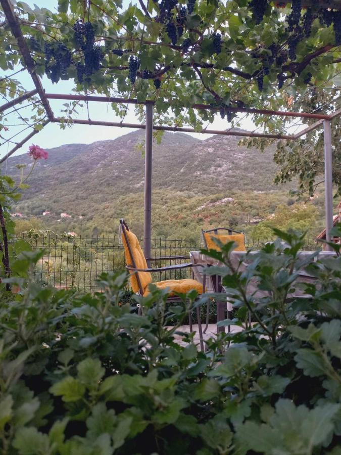 Aleksa Konuk evi Cetinje Dış mekan fotoğraf