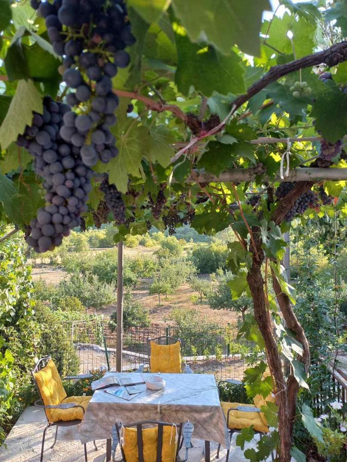 Aleksa Konuk evi Cetinje Dış mekan fotoğraf