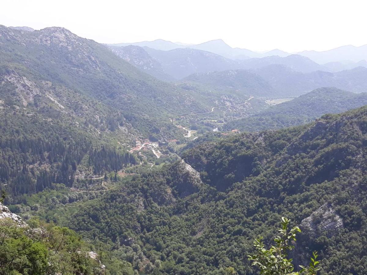 Aleksa Konuk evi Cetinje Dış mekan fotoğraf
